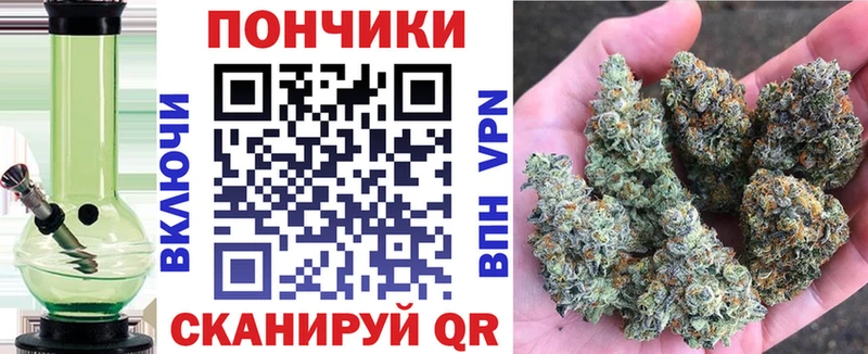 Канабис план  МЕГА ONION  Новотитаровская  купить  